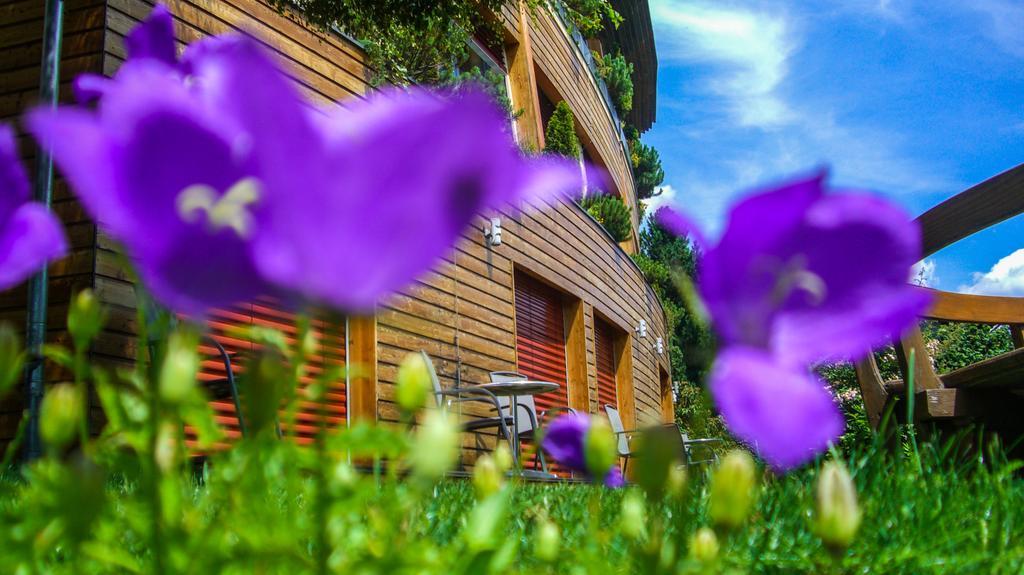 Hotel Sonnenheim บาด ไคลน์เคิร์ชไฮม์ ภายนอก รูปภาพ